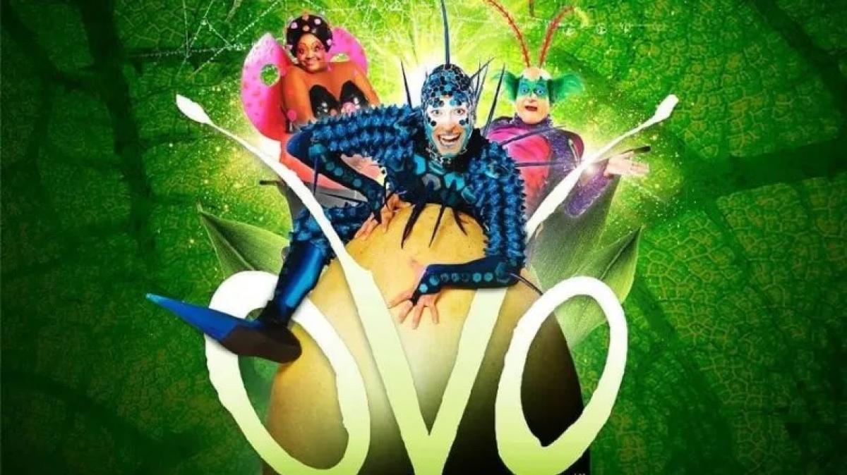 Cirque du Soleil с шоу OVO